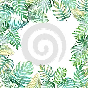 Tropical background with Monstera philodendron and palm leaves i