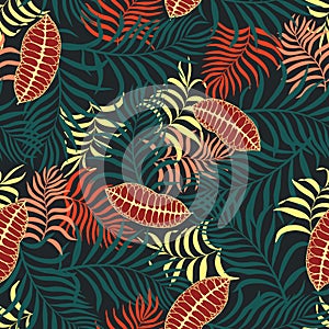 Tropical background with palm leaves.