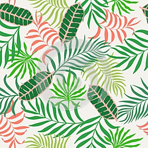 Tropical background with palm leaves.