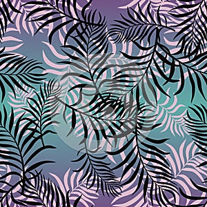 Tropical background with palm leaves.