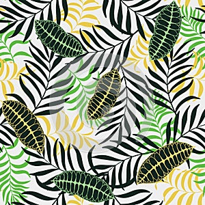 Tropical background with palm leaves.