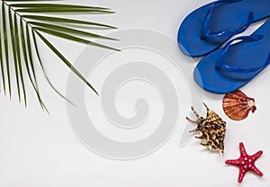 Tropical background of palm leaves with sea shells and star and women`s slates for the beach season