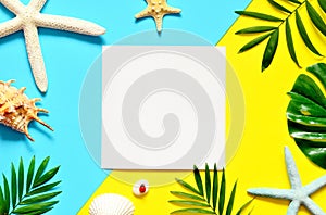 Tropical Background. Palm Trees Branches with starfish and seashell on yellow and blue background. Travel. Copy space.