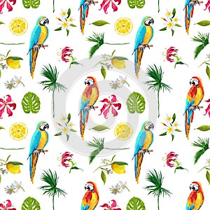 Tropical Background with Parrot Birds. Tropical Flowers