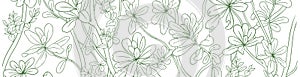 Tropical background. Scaevola taccada flowering plant. Sketch hand drawn vector illustration.