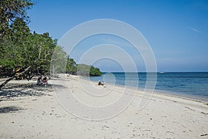 Tropical Bama Beach in Baluran Park