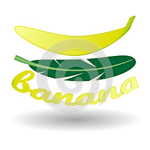 Tropical banana fruit, banana leaf, text, shadow, on white background. Realistic vector image for design.