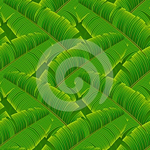 Tropical banana leaves seamless pattern