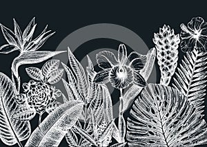 Tropical banner on a chalkboard. Vector frame with hand-drawn tropical plants, exotic flowers, palm leaves, insects, and chameleon