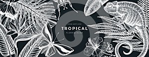 Tropical banner design on chalkboard. Vector frame with hand drawn tropical plants, exotic flowers, palm leaves, insects and