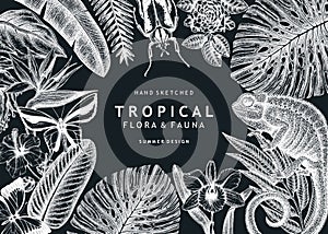 Tropical banner design on chalkboard. Vector frame with hand drawn tropical plants, exotic flowers, palm leaves, insects and