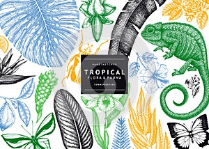 Tropical banner design. Vector frame with hand drawn tropical plants, exotic flowers, palm leaves, insects and chameleon. Vintage