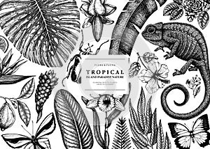Tropical banner design. Vector frame with hand drawn tropical plants, exotic flowers, palm leaves, insects and chameleon. Vintage
