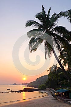 A tropical bay with a calm sea and palm trees glowing red in the setting sun, Goa, India