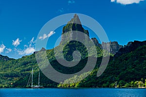 Tropical bay off Moorea Tahiti