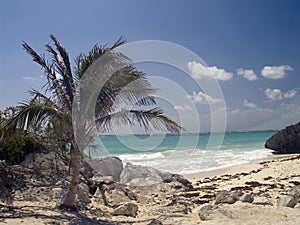 Tropicale Spiaggia 