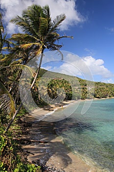 Tropical beach