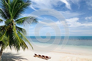 Tropical Beach photo