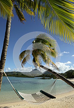 Tropical beach