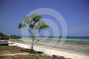 Tropical beach