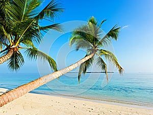 Tropical beach photo