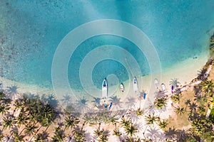 Tropical beach aerial photography with coconut palm trees along the coast and blue transparent sea water with coral reef, paradise