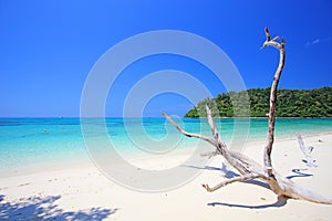 Tropical beach, Andaman Sea koh Rok