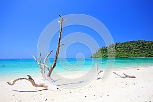 Tropical beach, Andaman Sea koh Rok