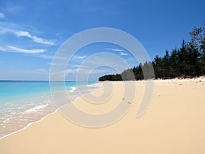 Tropical Beach Andamans