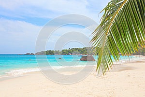 Tropical beach Anse Lazio, Seychelles