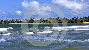 Tropical Beach and Atlantic Ocean Waves