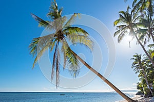 Tropical beach background from Anda beach Bohol island photo