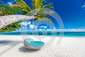 Tropical beach background as summer landscape with beach swing or hammock and white sand and calm sea for beach banner