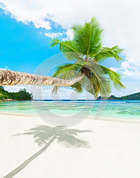 Tropical beach Baie Lazare, Mahe island, Seychelles