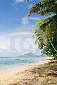 Tropical beach, banda islands, indonesia photo