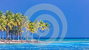 Tropical beach banner and summer landscape background. Vacation and holiday with palm trees and tropical island beach