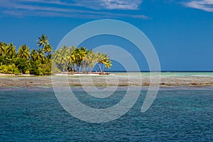 Tropical beach banner and summer landscape background. Vacation and holiday with palm trees and tropical island beach