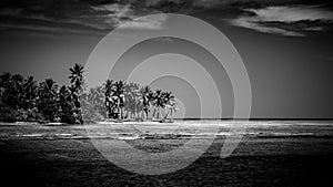 Tropical beach banner and summer landscape background. Vacation and holiday with palm trees and tropical island beach