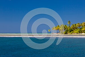 Tropical beach banner and summer landscape background. Vacation and holiday with palm trees and tropical island beach