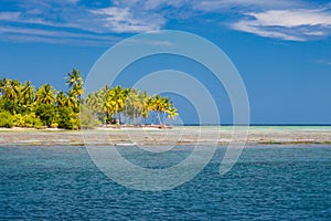 Tropical beach banner and summer landscape background. Vacation and holiday with palm trees and tropical island beach