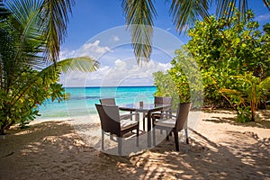 Tropical Beach Bar at the Maldives