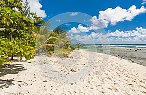 Tropical beach in Barbados