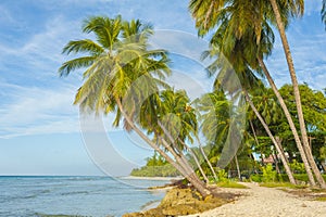 Tropical beach in Barbados