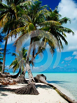 TROPICAL BEACH AND BAY