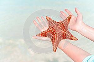 Tropical beach with a beautiful red starfish