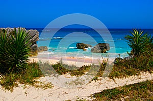 Tropical beach (Bermuda South shore)