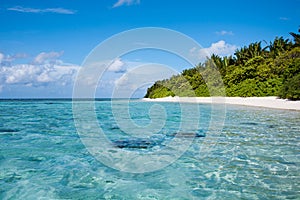 Tropical beach with blue water and palm trees, Maldives