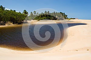 Tropical Beach in Brazil photo
