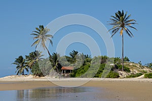 Tropical beach at Brazil