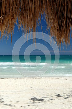 Tropical beach and cabana hut
